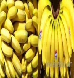 al-azraq-fruits-company-w-l-l-10-17-04-26-08-04-18.jpeg