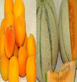 al-azraq-fruits-company-w-l-l-7-17-04-26-08-04-18.jpeg
