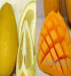 al-azraq-fruits-company-w-l-l-8-17-04-26-08-04-18.jpeg