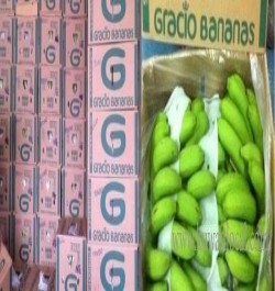 al-azraq-fruits-company-w-l-l-9-17-04-26-08-04-18.jpeg