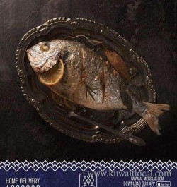 al-masseilah-sea-food-supplier-al-jahra-9-19-06-24-08-06-54.jpeg