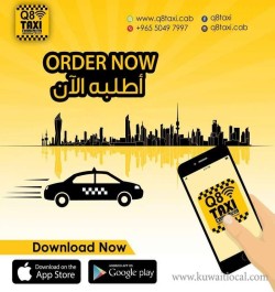 q8-taxi-7-16-05-10-11-05-31.jpg