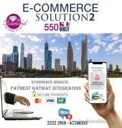  EcommerceSolution + website
