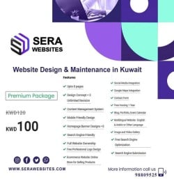 Website Design Premium Package