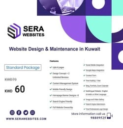 Website Design Standard Package