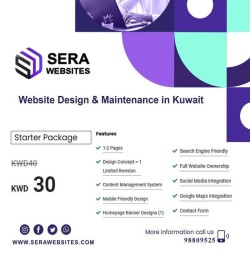 Website Design Starter Package