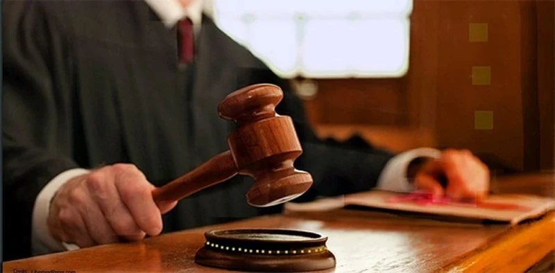 Chicago Med Surrogate Mother Refuses To Give Birth ‘Girls Born To Surrogate Mother’; Court Refuses To Accept Lineage