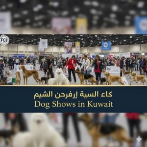 Latest News in Kuwait - Breaking and Todays Updates | Kuwait Local News