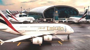 snake-on-a-plane-grounds-emirates-flight_0_17-01-09-08-01-33.jpg
