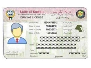 traffic-department-to-review-expatriate-driving-licenses-with-exceptional-conditions-0-23-10-15-10-10-19.jpeg