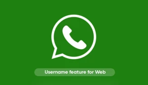 what-is-the-whatsapp-username-feature-Kuwait-2024-08-21-09-09-28.webp