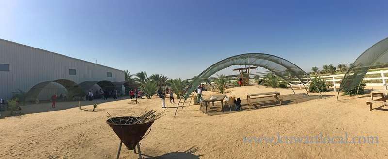 yasmin-farms-al-wafra in kuwait