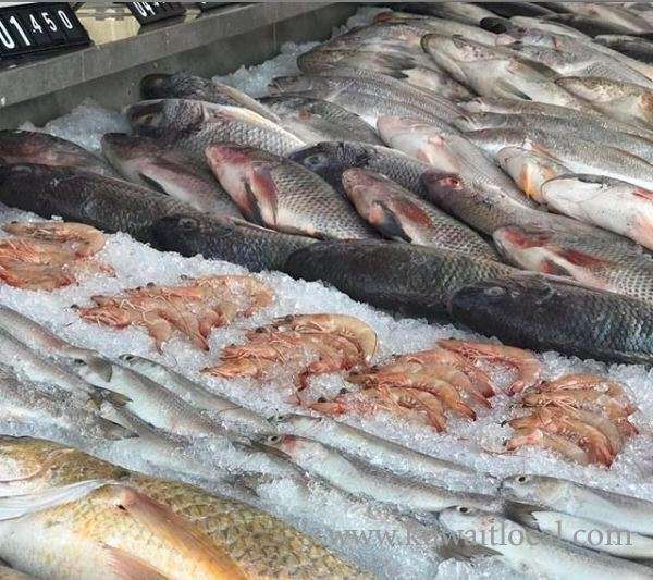 al-messilah-sea-food-supplier-jaber-al-ahmad in kuwait
