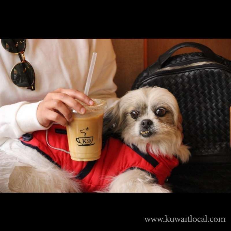 K9 Cafe Pet Friendly Coffee Shop in kuwait