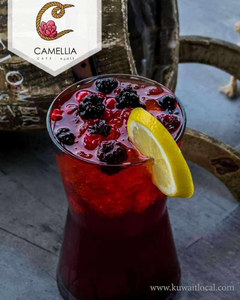 camellia-cafe-and-restaurant in kuwait