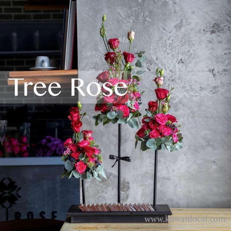 tree-rose-kuwait