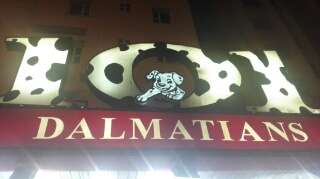 101-dalmatians-block-10-salmiya-kuwait