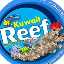 kuwait-reef-center-al-rai_kuwait