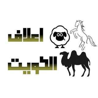 animal-feed-kuwait