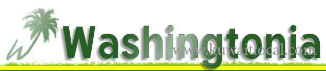 washingtonia-agricultural-company-w-l-l-kuwait