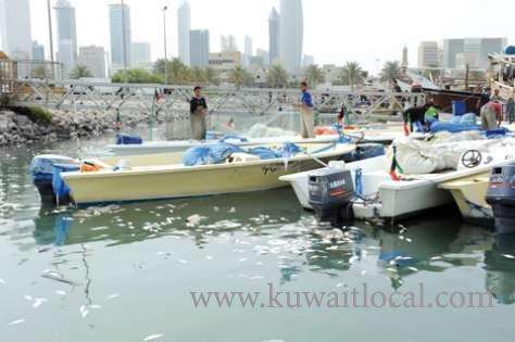 dead-fish-examination-conducted-in-our-laboratories_kuwait