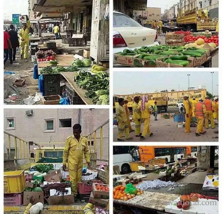 kuwait-municipality-seized-4-lorries-of-vegetables_kuwait