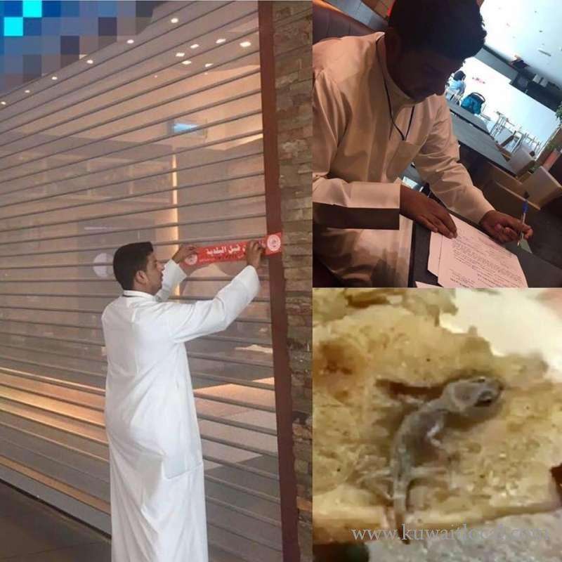 cooked-lizard-in-bread_kuwait