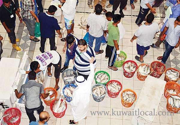 baskets-of-fish-ready-for-auction-at-the-souk-sharq-fish-market_kuwait
