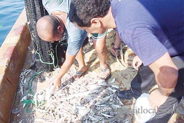 marzoug-al-azmi-said-the-current-season-for-catching-the-shrimps-is-the-best-as-compared-to-the-previous-years_kuwait