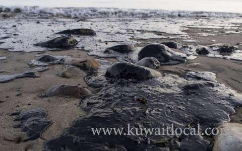 teams-remove-most-oil-spill-spots,-official-says_kuwait