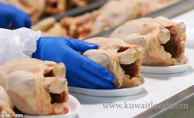 moci-has-banned-the-import-of-fresh-and-frozen-poultry-_kuwait