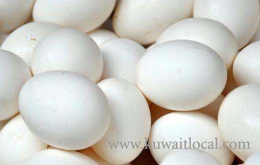 stamp-expiry-date-for-eggs,-says-ministry-of-commerce-and-industry_kuwait