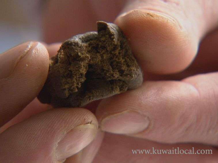 court-acquitted-a-person-accused-of-possessing-hashish-for-consumption-and-sale-purposes_kuwait