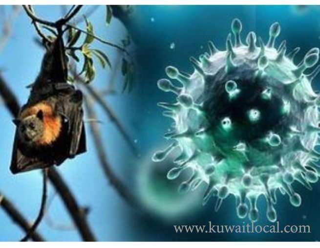 moh-takes-all-precautionary-measures-to-prevent-the-nipah-virus_kuwait