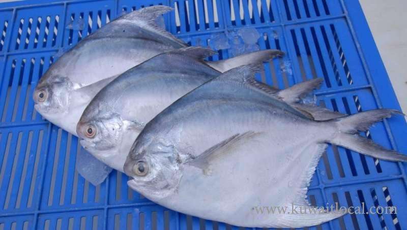 fishing-zubaidi-in-the-kuwaiti-territorial-waters-has-been-banned-for-45-days_kuwait
