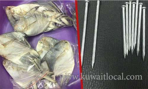 nails-to-increase-weight-of-fish_kuwait
