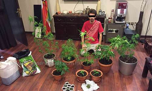 ukrainian-expat-arrested-for-growing-marijuana-plants-in-kuwait_kuwait