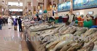 cheating-widespread-at-souk-sharq-fish-auction---chairman_kuwait