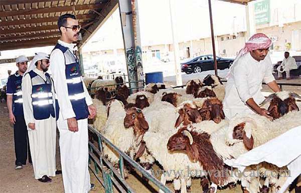 moci,-municipality-intensify-campaigns-on-sheep-markets_kuwait