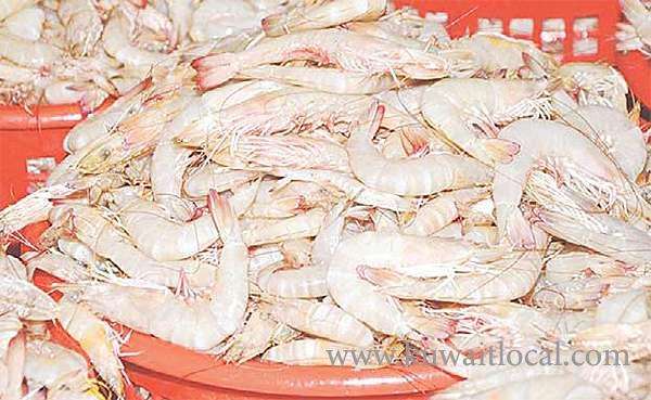 no-change-in-decision-to-ban-shrimp-fishing_kuwait