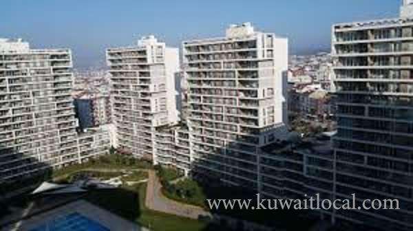 kuwaitis-4th-largest-buyers_kuwait