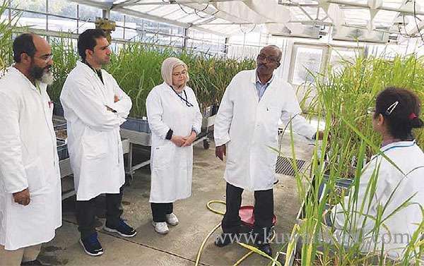 kuwaiti-scientists-study-minimizing-climate-adverse-impact-on-agriculture_kuwait
