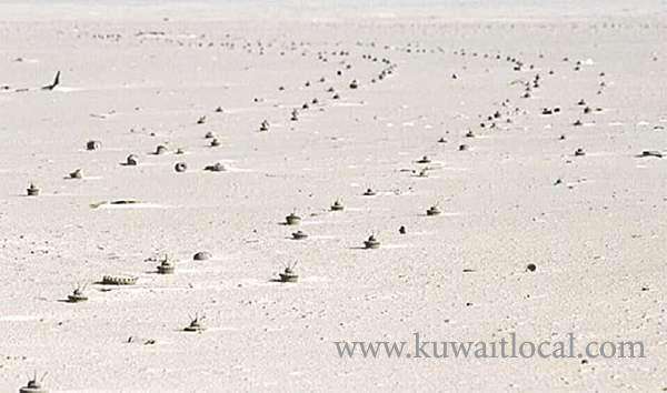 moi-refutes-claims-of-mines-presence_kuwait