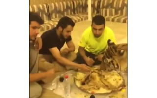 tiger-and-friends--eating-biryani-_kuwait