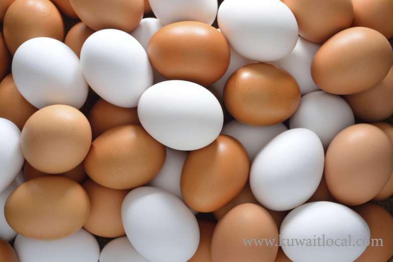 paaafr-is-not-responsible-for-lack-of-supply-of-eggs-in-the-local-market_kuwait
