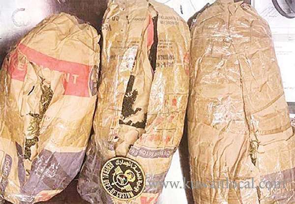 customs-officers-at-the-kia-have-seized-two-kilos-khat-from-an-ethiopian_kuwait