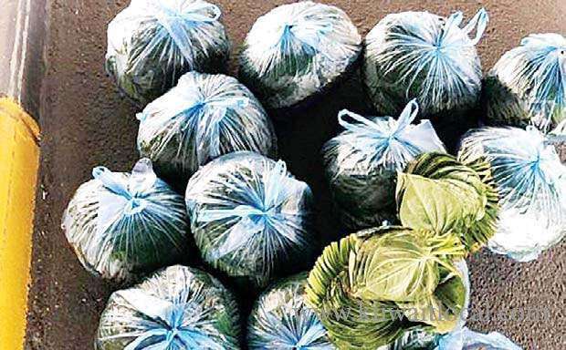 unidentified-individuals-arrested-for-attempting-to-smuggle-130-kilograms-of-betel-leaves_kuwait
