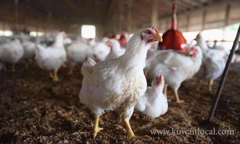 kuwait-ban-on-import-of-poultry-products-from-pakistan_kuwait