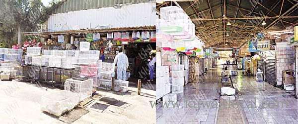 kuwait-power-supply-cut-to-50-bird-shops-in-alrai-market_kuwait