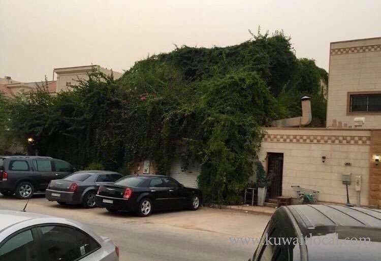 heatresistant-house-goes-viral-on-social-media_kuwait